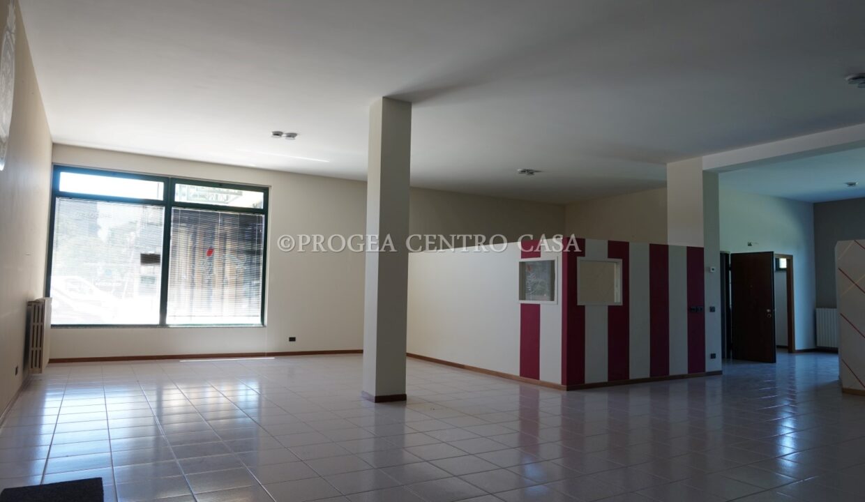 negozio-in-affitto-a-zanica