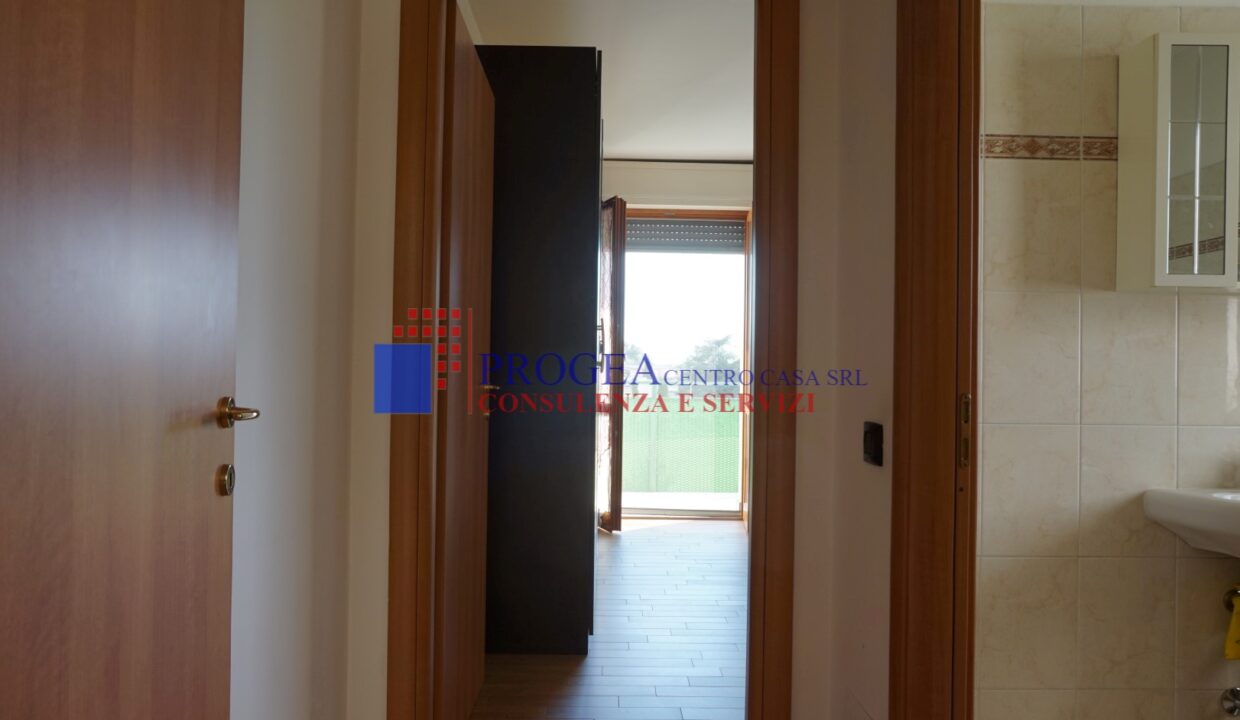 bilocale-arredato-in-affitto-ad-albano-disimpegno