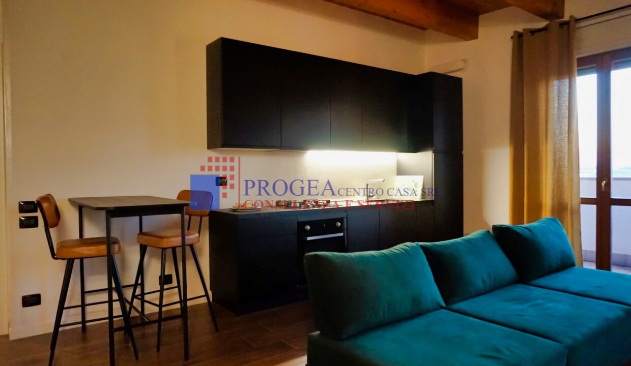 bilocale-in-vendita-albano-santalessandro-soggiorno-2