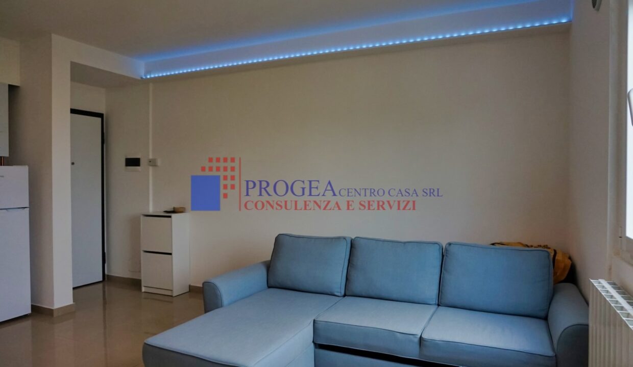 appartamento-bilocale-arredato-in-affitto-azzano-san-paolo-soggiorno-6