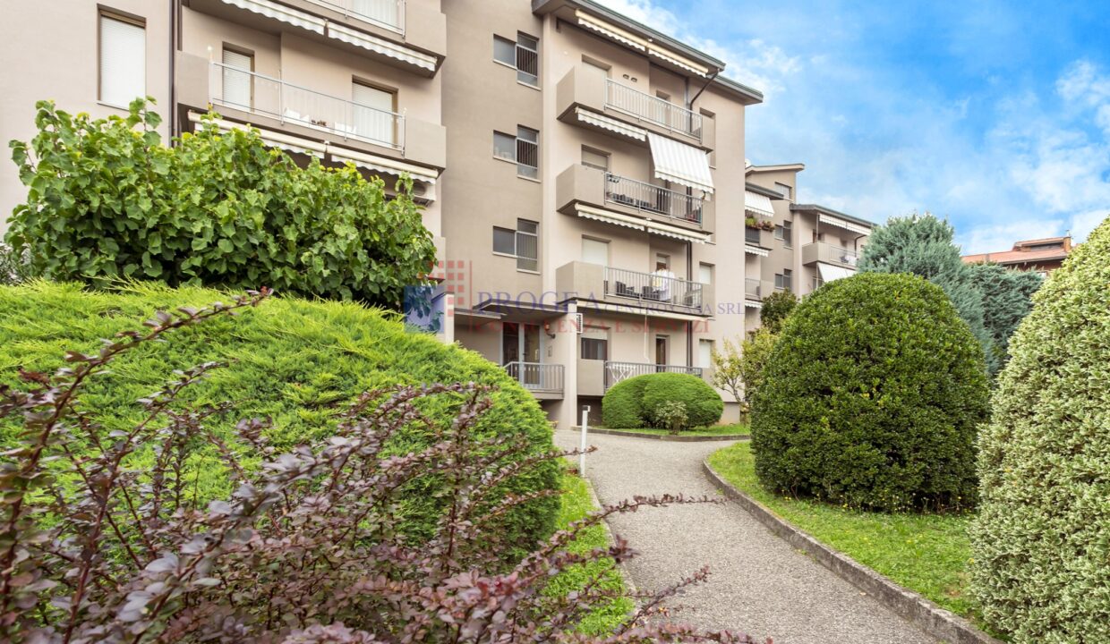 TREZZO-25