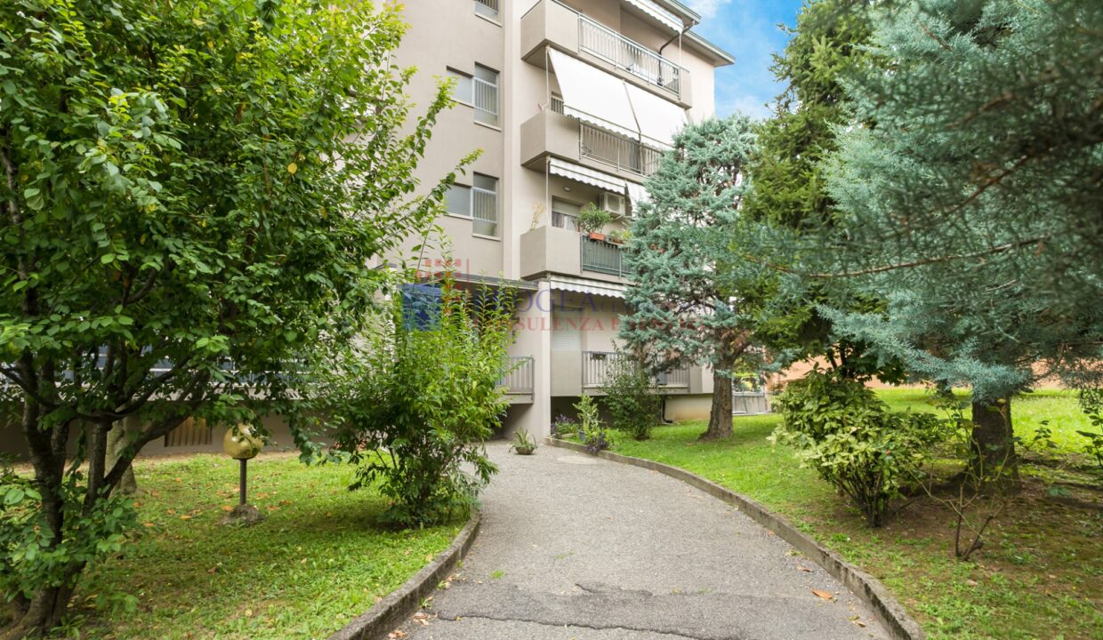 TREZZO-26