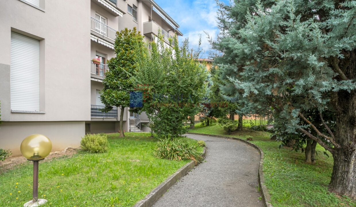 TREZZO-27