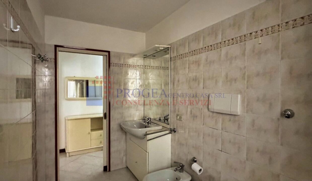 19 (Large)