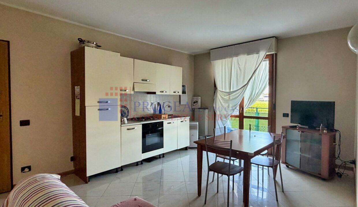 appartamento-bilocale-arredato-in-affitto-albano-santalessandro