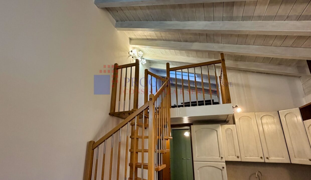 7 (Large)